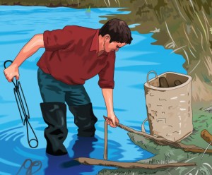 Mother Natures Wilderness Survival Foods