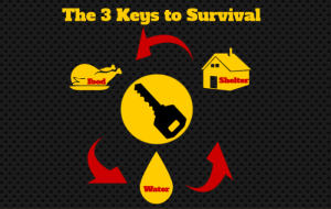 Prepping, Survival and When the S Literally HTF