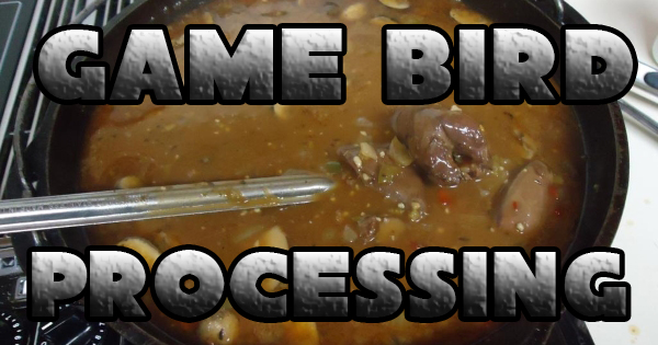 Game Bird Processing