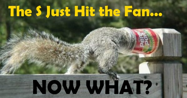 The S Just Hit the Fan Now What