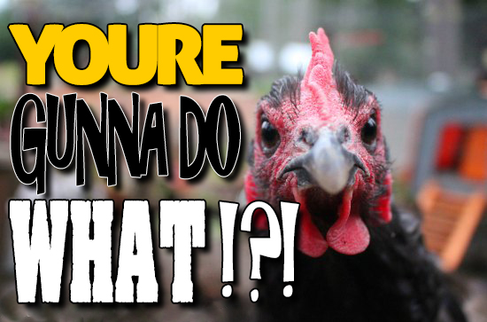 Duck Processing: Too Many Cock-A-Doodle-Dos