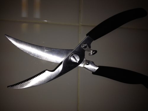 bone scissors