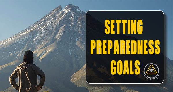 Our Prepping Goals for This Year