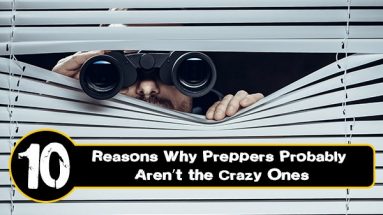 crazy preppers arent so crazy