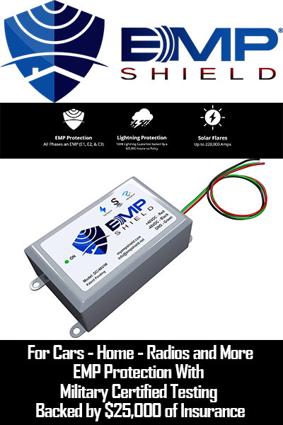 emp shield protection device